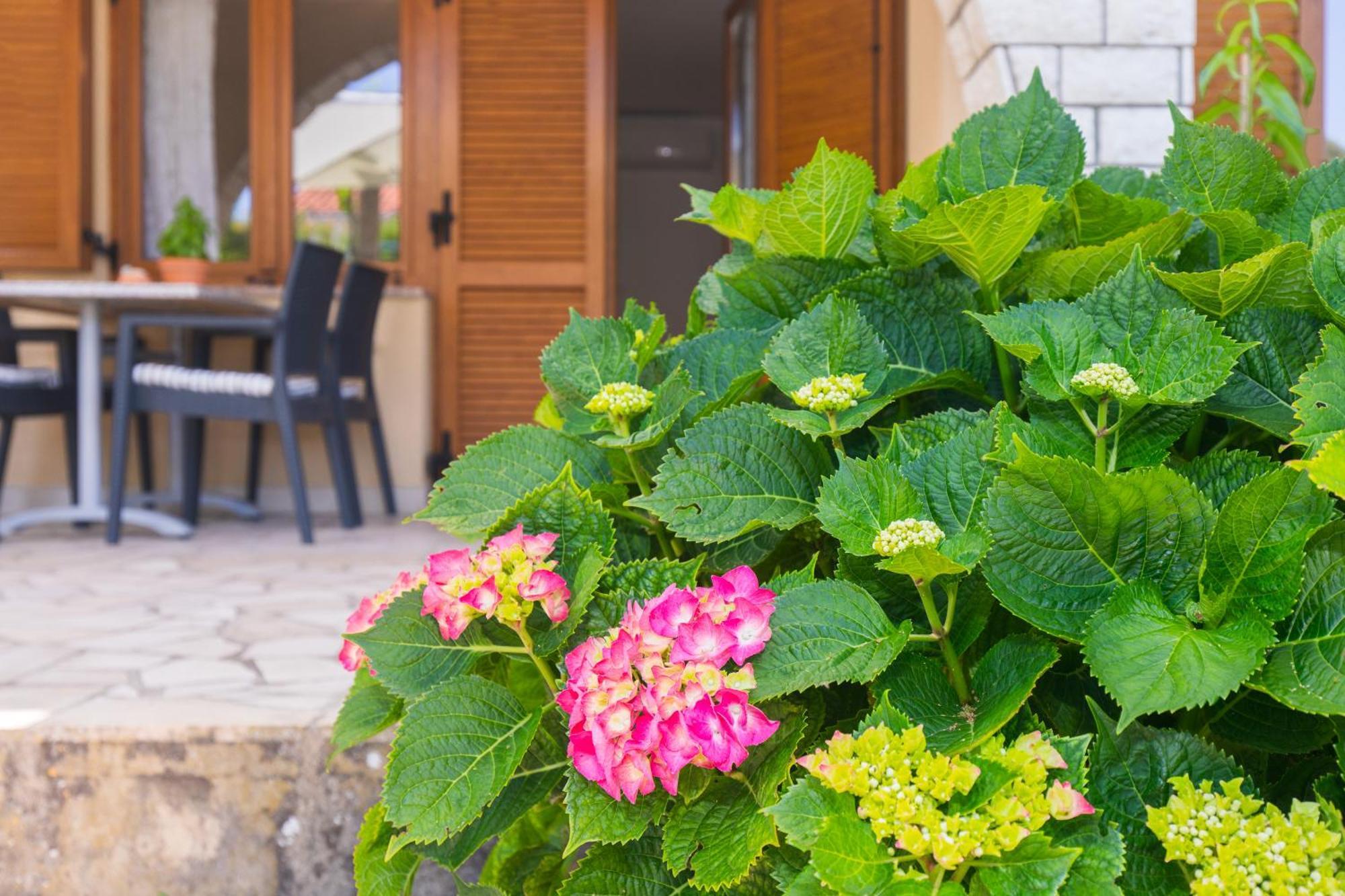 Apartmani Pina Krk Town Dış mekan fotoğraf